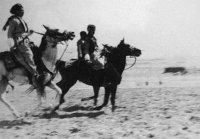 Bedouins